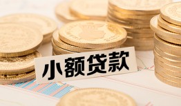 东莞11身份证贷款平台-东莞11私人借贷不查征信-东莞11空放借钱